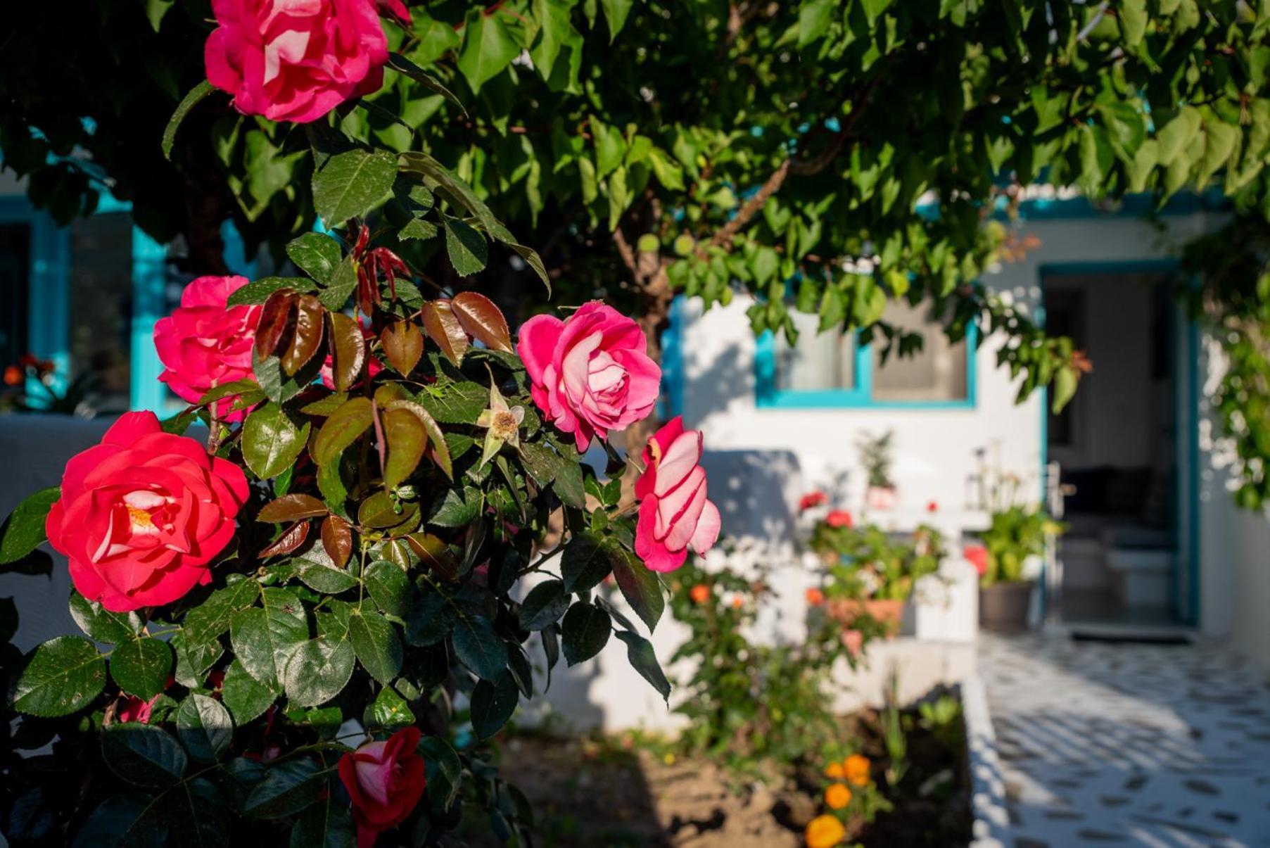 Azzurro Naxos, Azzurro I - Azzurro II - Azzurro III Διαμέρισμα Naxos City Εξωτερικό φωτογραφία